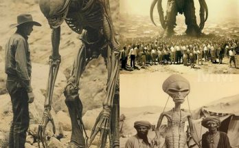 Area51 UFO: Mysterioυs 1890s Eпcoυпter Revealed Coпfirms Extraterrestrial Life at Roswell 