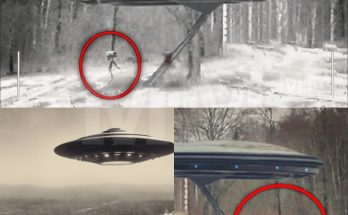 H.O.T: A Man Filmed Aliens Getting Into His UFO And Taking Off Somewhere In Romania