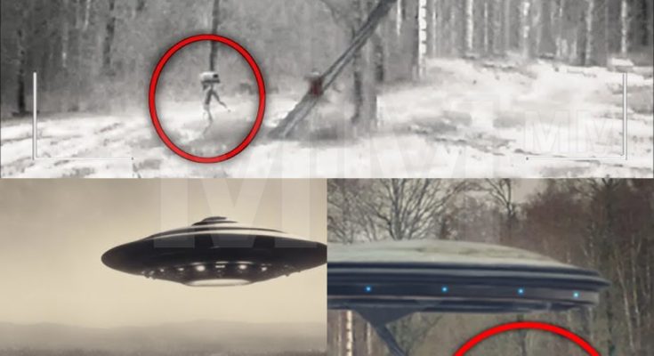 H.O.T: A Man Filmed Aliens Getting Into His UFO And Taking Off Somewhere In Romania