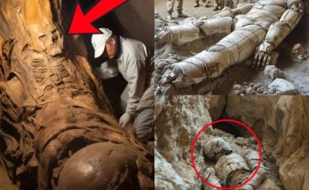 Incredible Revelation: 9 Alien Fossils Discovered, Exposing an Unbelievable Reality!.