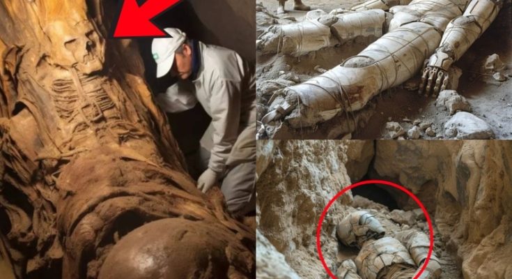 Incredible Revelation: 9 Alien Fossils Discovered, Exposing an Unbelievable Reality!.