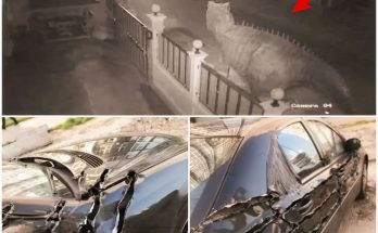 T-Rex Spotted on U.S. Security Camera Wrecks Car? Startling Footage Sparks Debate