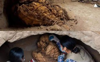 17,000-year-old remains of blue-eyed baby boy unearthed in Italy