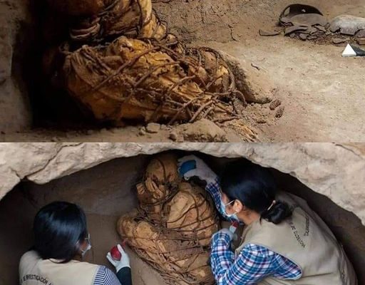 17,000-year-old remains of blue-eyed baby boy unearthed in Italy