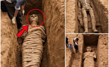 Revolutionary Discovery: Ancient Mummies Unveil a Lost Civilization That Rocks the World (Video). 