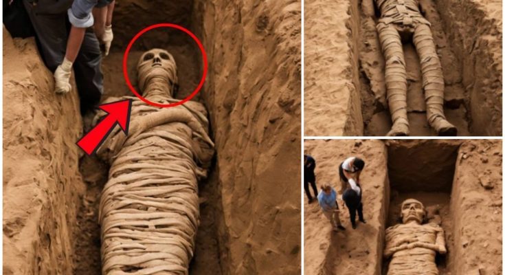 Revolutionary Discovery: Ancient Mummies Unveil a Lost Civilization That Rocks the World (Video). 