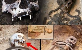 An iron bar was buried with the Sozopol “toothless vampire skeleton” to prevent it from emerging from the grave.