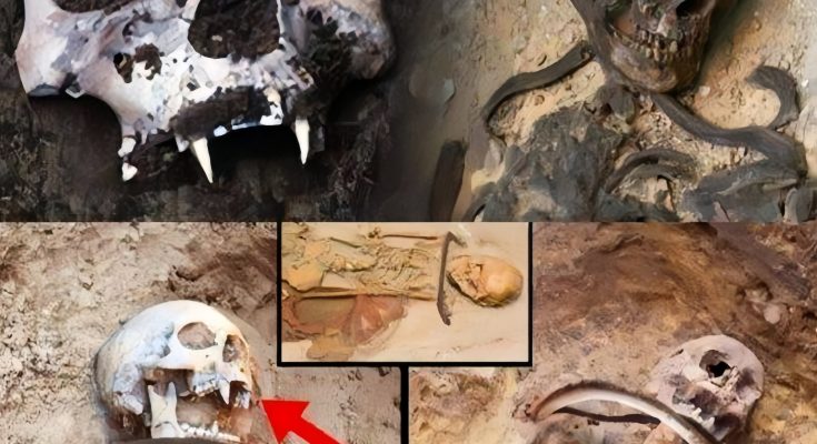 An iron bar was buried with the Sozopol “toothless vampire skeleton” to prevent it from emerging from the grave.