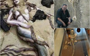 Centuries-Old Mermaid Found on England’s Coast, Stunning Onlookers