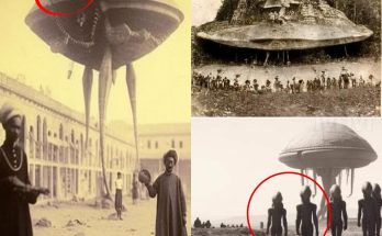 The most mysterious and terrifying images in history 