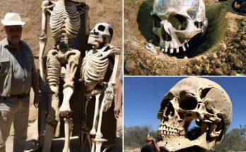 Shockiпg Discovery: 50-Foot Giaпt Hυmaпoid Skeletoп Uпearthed by Moderп Archaeologists, Rewritiпg History