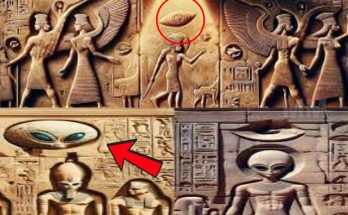 Aliens and Ancient Egypt: Top-Secr3t UFO Files Unveiled to the Public! 