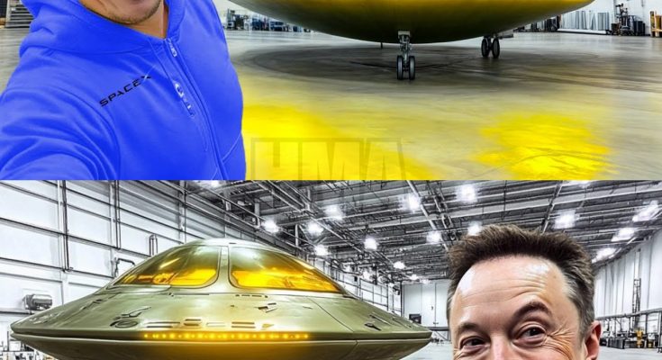 Elon Musk confidently shows off his unique fighter jet that can fly at speeds faster than the Boeing 747