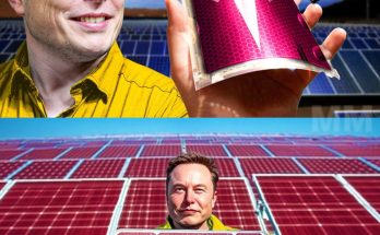 BREAKING: Elon Musk’s $0.19 Solar Panels Set to REV0LUTIONIZE Energy and Leave Fossil Fuels in the DUST