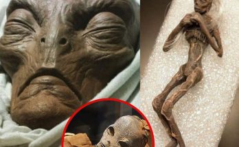 Shocking Discovery: Mysterious Alien Mummies from Ancient Times Unveiled! 