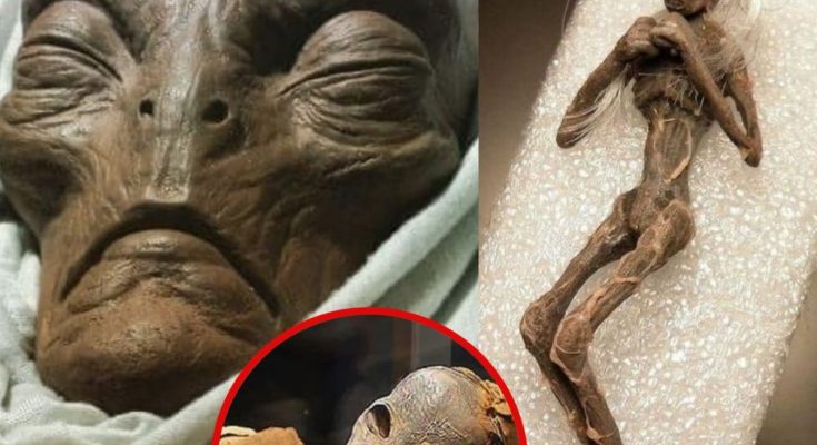 Shocking Discovery: Mysterious Alien Mummies from Ancient Times Unveiled! 