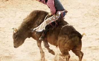 Teen Rodeo Champ ‘Fighting For His Life’ After Bull Stomps on His Chest