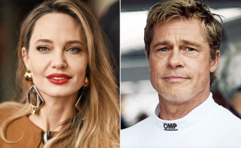 Angelina Jolie Scores Win in Winery Lawsuit Connected to Alleged Brad Pitt Abuse: She 'Never Wanted Any of This'