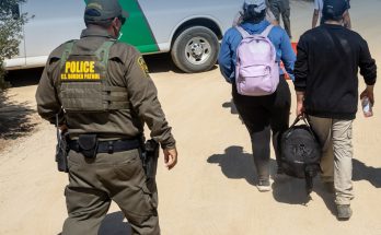 Border Patrol, ICE morale surging after Trump election win: 'They know they can get the bad guys now'