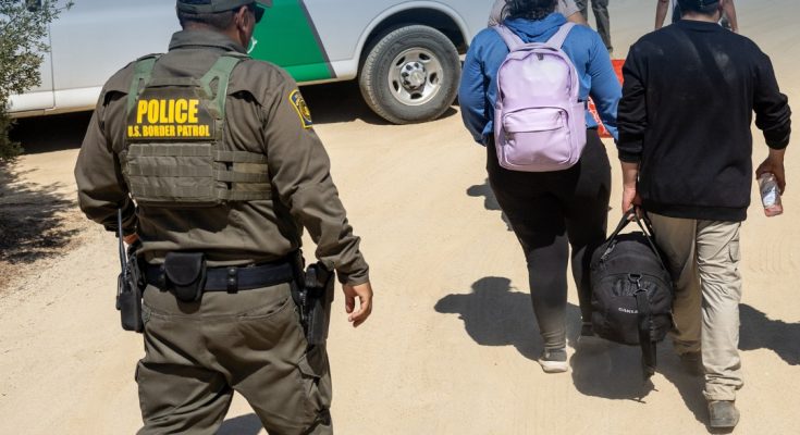 Border Patrol, ICE morale surging after Trump election win: 'They know they can get the bad guys now'