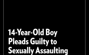 Crime 14-Year-Old Boy Pleads Guilty to Sexually Assaulting 91-Year-Old Woman