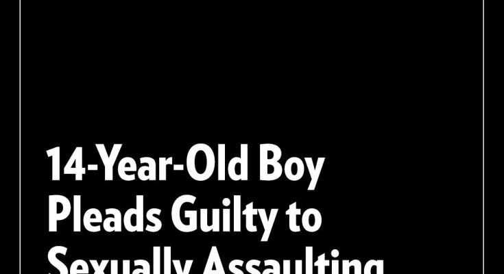 Crime 14-Year-Old Boy Pleads Guilty to Sexually Assaulting 91-Year-Old Woman