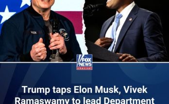 Elon Musk, Vivek Ramaswamy to lead Trump's Department of Government Efficiency