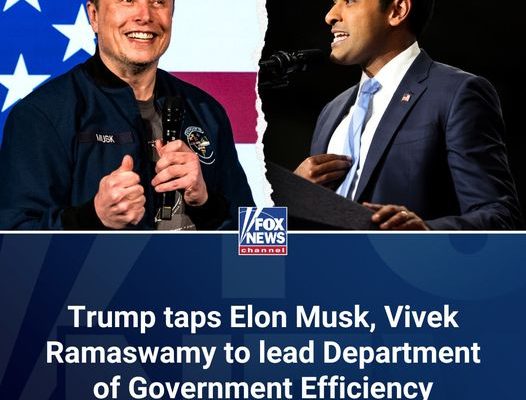 Elon Musk, Vivek Ramaswamy to lead Trump's Department of Government Efficiency