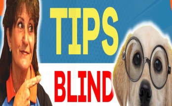 Caring for a Blind Dog