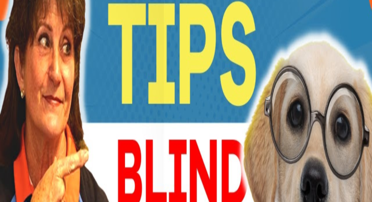 Caring for a Blind Dog