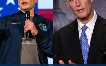 Elon Musk endorses Rick Scott for Senate majority leader