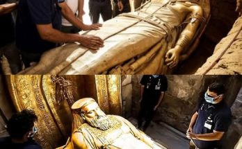 Shocking Discovery: King Solomon’s Tomb Opened After 3,000 Years, Unveiling World-Changing Artifacts.