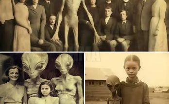 Terrifying Discovery: Two Men's Extraterrestrial Contact in Late 1917