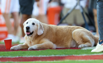 President Biden honors Kirk Herbstreit’s late, football-loving dog Ben in heartfelt letter