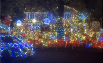 Teen Turns Holiday Trash to Treasure by Transforming Broken Christmas Lights into Dazzling Charity Display