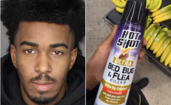 TikTok Prankster Charles Smith Faces Felony Poison Charge After Spraying Bug Killer on Supermarket Produce