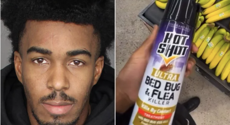 TikTok Prankster Charles Smith Faces Felony Poison Charge After Spraying Bug Killer on Supermarket Produce