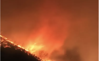 'Fire Tornado' Forms in L.A. amid Fires Ravaging the City — Watch the Harrowing Footage