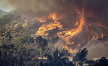 Los Angeles Man Stunned to Find His Dog Alive After 5 Nights Alone amid Fire Rubble: ‘Thank You God'