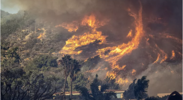 Los Angeles Man Stunned to Find His Dog Alive After 5 Nights Alone amid Fire Rubble: ‘Thank You God'