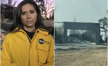 ABC News Reporter Covering L.A. Fires Reveals Recently Purchased ‘Dream Home’ in Palisades Burned Down