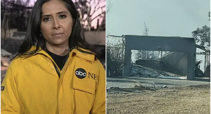 ABC News Reporter Covering L.A. Fires Reveals Recently Purchased ‘Dream Home’ in Palisades Burned Down