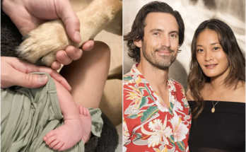 Milo Ventimiglia and Wife Jarah Mariano Welcome First Baby 2 Weeks After Losing Home to L.A. Fires: ‘Houseless, Never Homeless'