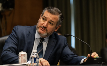 Ted Cruz slaps blue state authority with subpoena over sheltering migrants at airport: 'Reckless'