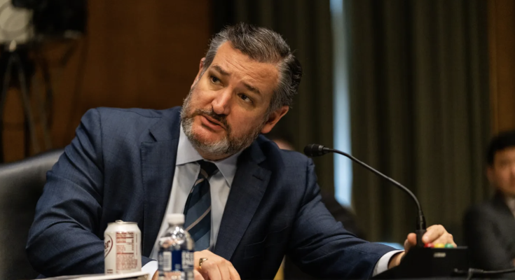 Ted Cruz slaps blue state authority with subpoena over sheltering migrants at airport: 'Reckless'