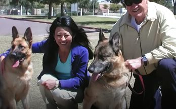 Gene Hackman & Betsy Arakawa's Friend Gives an Update on Their Two Surviving Dogs