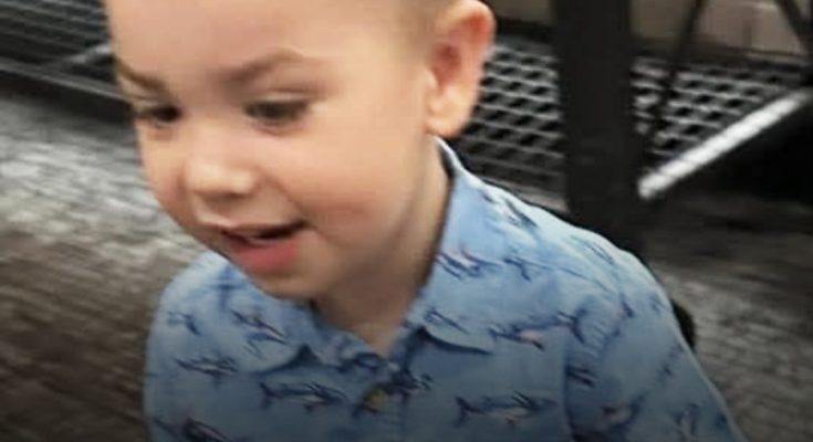 Missing 2-Year-Old Boy, Dane Paulsen, Found Dead — Sheriff's Office Releases Information