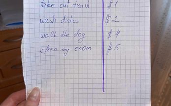 Spoiled Son Demands Money For Doing His Chores