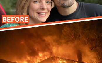 Inside Brad Paisley & His Wife Kimberly's Incredible Home Life with 2 Sons & 2 Dogs Before Their Former House Burned Down in LA Fire