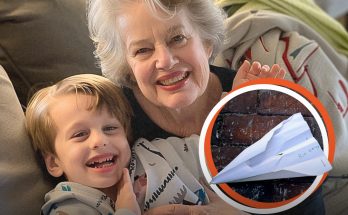 My Grandson's Paper Airplane Revealed My DIL's Secret That Got Me Banned from Seeing Him — Story of the Day